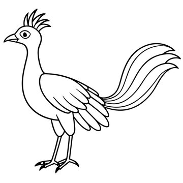 recommend clip art: Lyrebird Line Art Vector Design