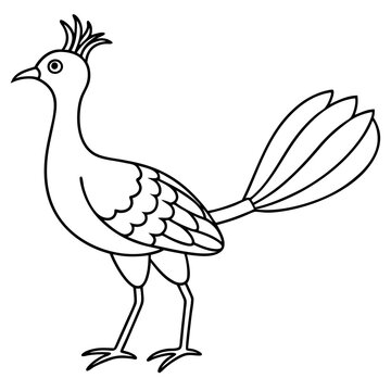 recommend clip art: Lyrebird Line Art Vector Design