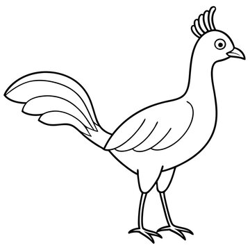 recommend clip art: Lyrebird Line Art Vector Design