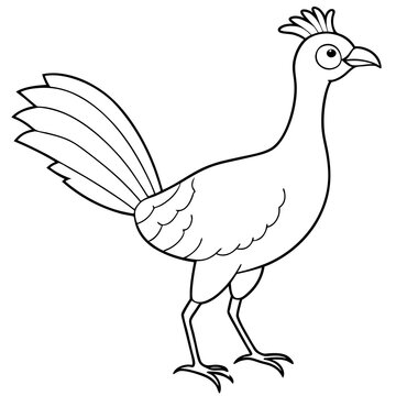 recommend clip art: Lyrebird Line Art Vector Design