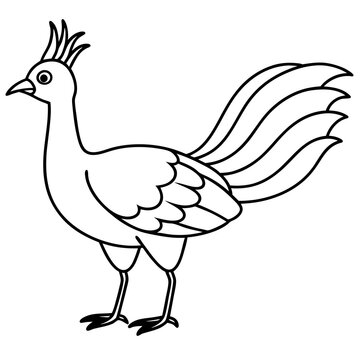 recommend clip art: Lyrebird Line Art Vector Design