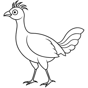 recommend clip art: Lyrebird Line Art Vector Design