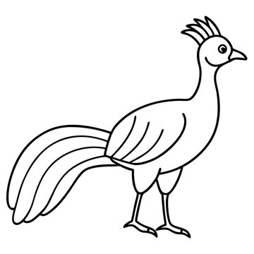 recommend clip art: Lyrebird Line Art Vector Design