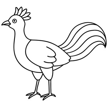 recommend clip art: Lyrebird Line Art Vector Design