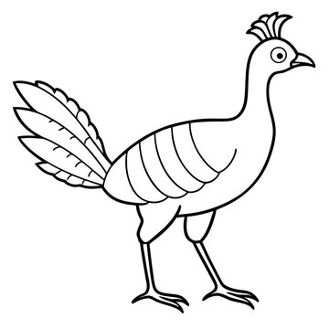 recommend clip art: Lyrebird Line Art Vector Design