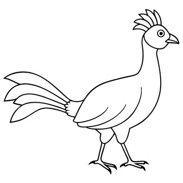 recommend clip art: Lyrebird Line Art Vector Design