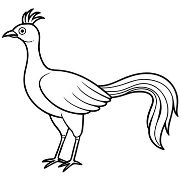 recommend clip art: Lyrebird Line Art Vector Design