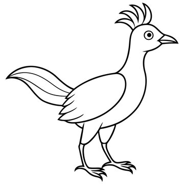 recommend clip art: Lyrebird Line Art Vector Design