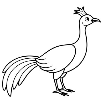 recommend clip art: Lyrebird Line Art Vector Design