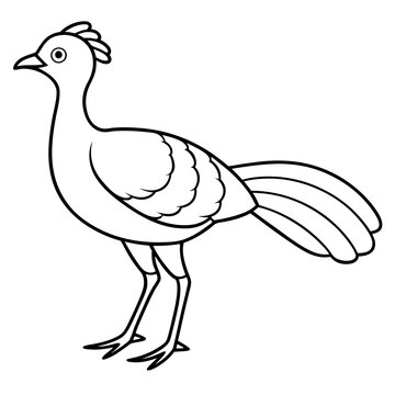 recommend clip art: Lyrebird Line Art Vector Design