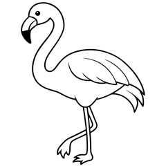 Flamingo Coloring Page for Kids Varied Poses art vector illustration