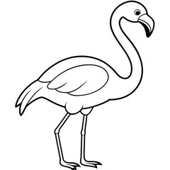 Flamingo Coloring Page for Kids Varied Poses art vector illustration