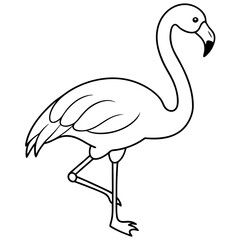 Flamingo Coloring Page for Kids Varied Poses art vector illustration