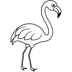 Flamingo Coloring Page for Kids Varied Poses art vector illustration