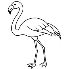 Flamingo Coloring Page for Kids Varied Poses art vector illustration
