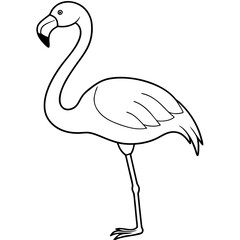 Flamingo Coloring Page for Kids Varied Poses art vector illustration