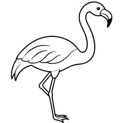 Flamingo Coloring Page for Kids Varied Poses art vector illustration