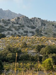 landscape with mountains