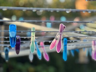 Clothes pegs in the rain