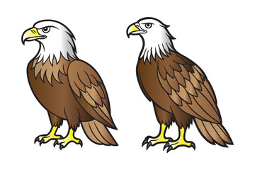 Fototapeta premium Eagles. Bird king set. 