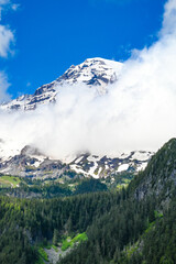 snow covered mount rainier