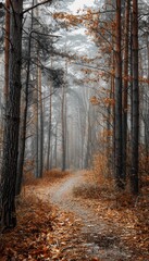 Fototapeta premium Misty autumn morning in the forest with winding path amidst towering trees and leaf laden ground