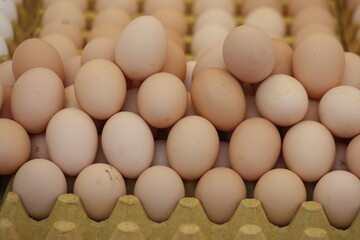 brown eggs in carton on sale