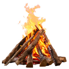 Bonfire. Isolated on transparent background.