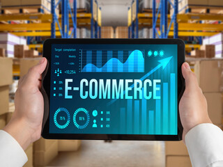 E-commerce data software provide modish dashboard for sale analysis to the online retail business