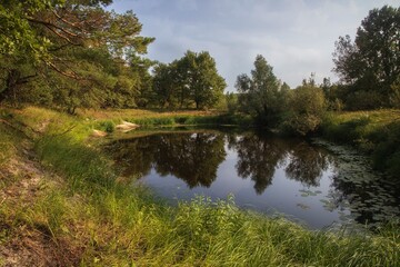 Forest lake with mirror reflection trees