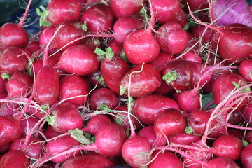 fresh radishes on market stall
