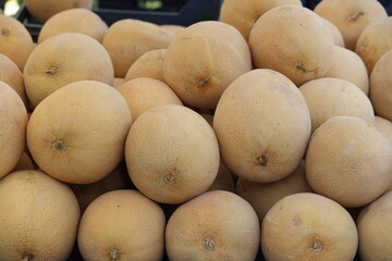 close up of husk melon in the market