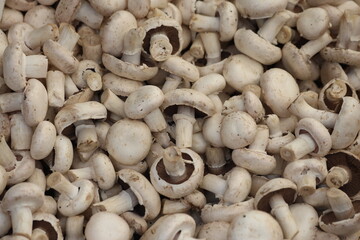 close up of mushrooms on a market