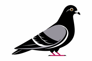 Pigeon isolated on silhouette premium vector and black design white background