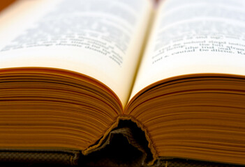 Obraz premium Old Book Pages