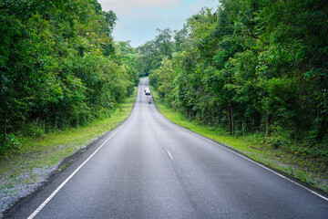 Obraz premium Car and motorcycle on concrete roadway through a green nature park with trees in the forest, Khao Yai National Park, Thailand.