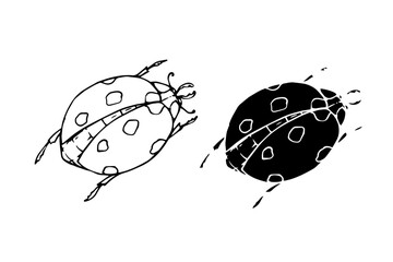 Line sketch, silhouette, stamp of a winged insect ladybug. Vector graphics.
