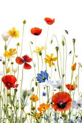 A vibrant bouquet of flowers growing in a lush green lawn, perfect for gardening or nature inspired designs