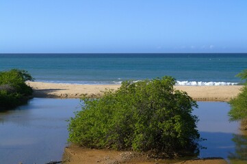 Landscapes on the island of Margarita, Venezuela.
An infinite variety of landscapes can be found in...