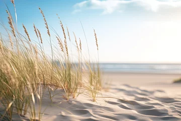 Peel and stick wall murals close up of a nordic beach near some grass and sand,