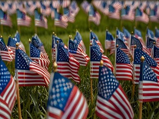 american flag and flags
