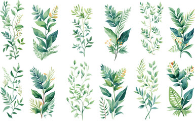 vector botanical frame foliage vintage garden set card leaf illustration nature plant watercolor decoration flower design invitation floral background wedding green spring summer