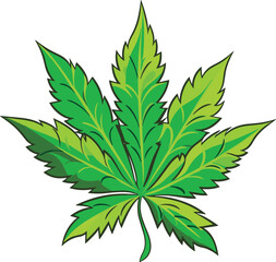 leaf cannabis marijuana plant green hemp isolated nature medicine