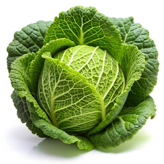Obraz premium Fresh Green Cabbage with Textured Leaves on White Background