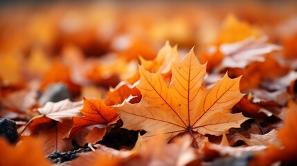 Beautiful autumn maple leaves background with a focus on the rich, vibrant colors of the season --ar 16:9 --style raw --stylize 750 --v 5.2 Job ID: cdec7891-4417-4cde-9752-ff3027e957dc