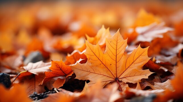 Beautiful autumn maple leaves background with a focus on the rich, vibrant colors of the season --ar 16:9 --style raw --stylize 750 --v 5.2 Job ID: cdec7891-4417-4cde-9752-ff3027e957dc