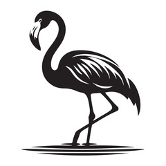 silhouette Water Bird