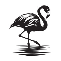 silhouette Water Bird