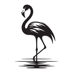 silhouette Water Bird