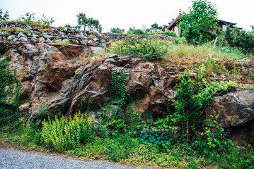 Stones with moss covered stone walls green ferns trees with green leaves and rocks